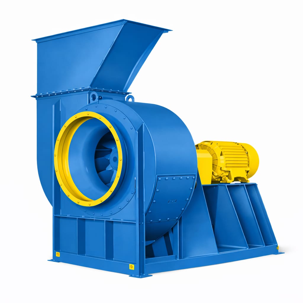 whatsapp image 2026 01 19 at 3.24.34 pm